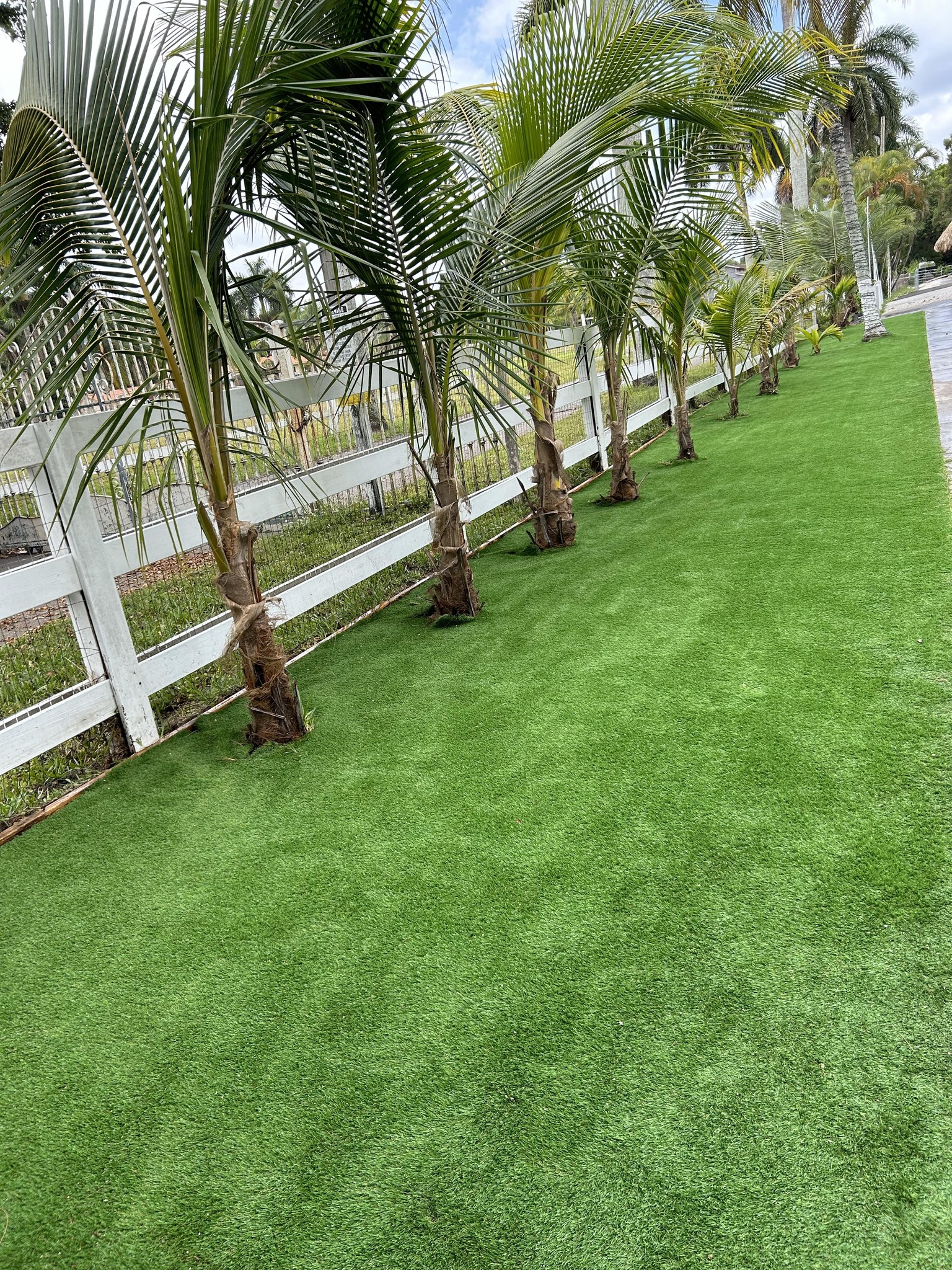 Landscaping Project 5
