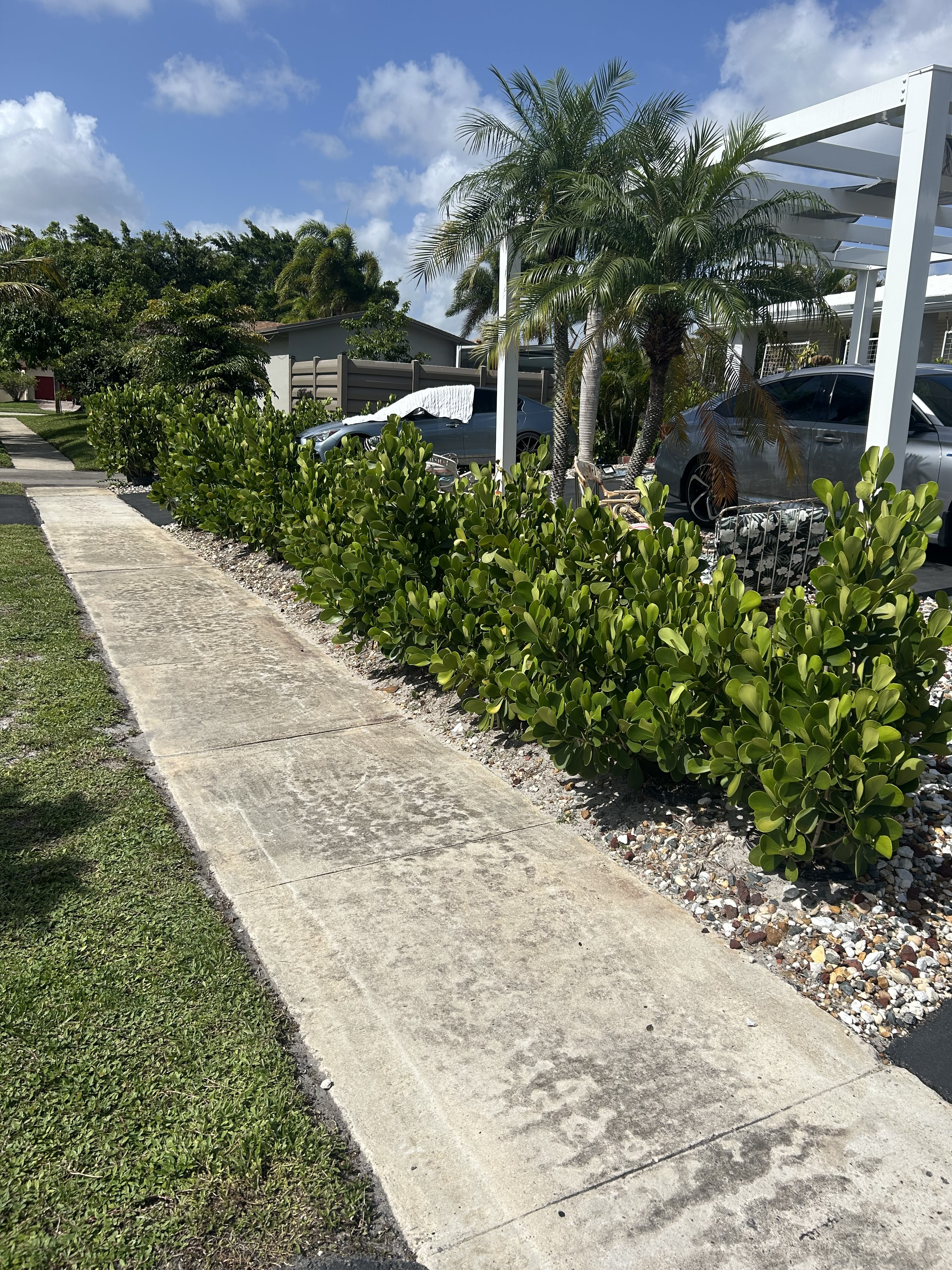 Landscaping Project - Gallery Image 1